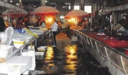 鱼贩子爆料视频,揭秘水产市场惊人内幕